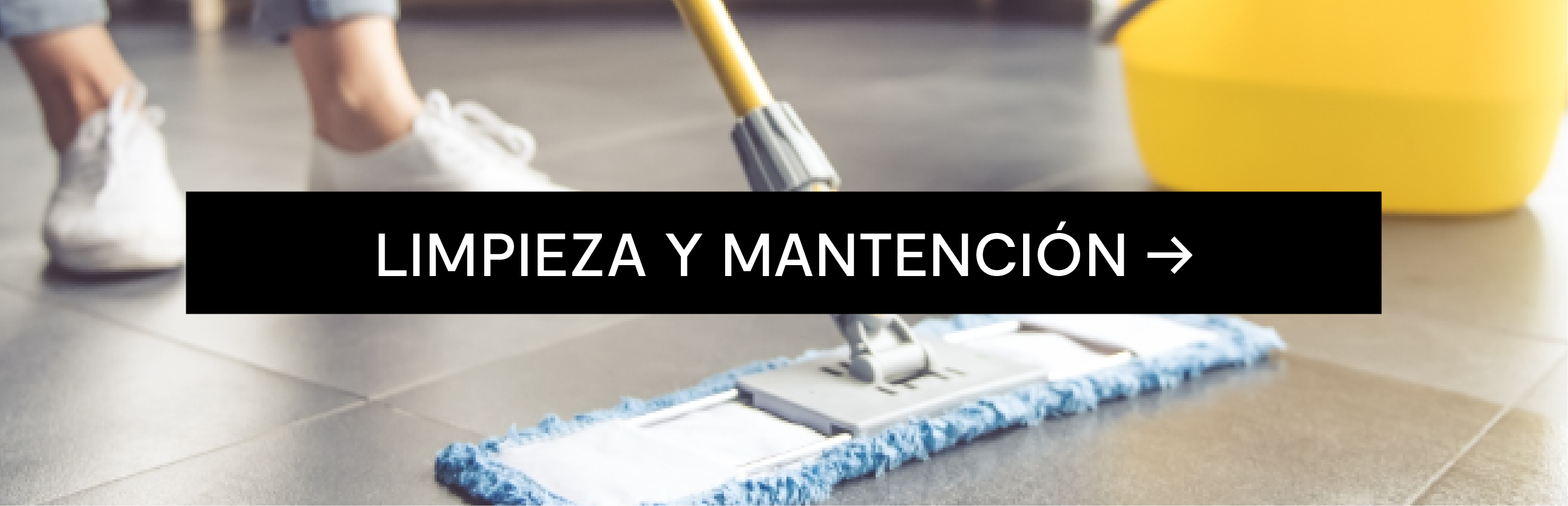 Limpieza y mantención