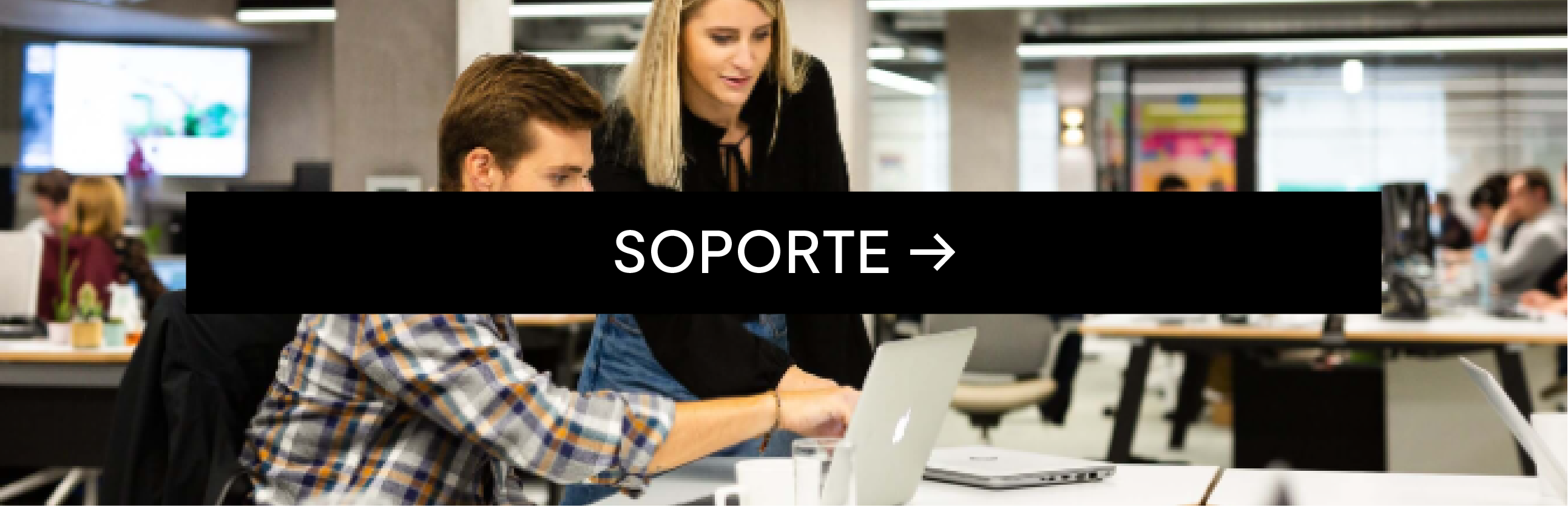 Soporte