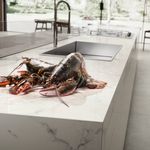 Cocina-Plancha-Calacatta-Mate