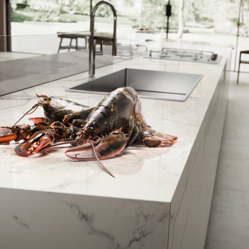 Cocina-Plancha-Calacatta-Mate