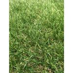 Pisos-y-Muros-Pasto-Sintetico-en-Rollo-Grass-Celery-25x2-m--30-mm-