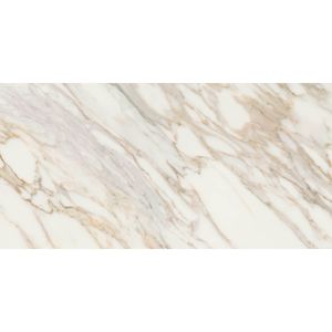 Porcelanato Avenza Gold Mate Semipulido 60x120 cm