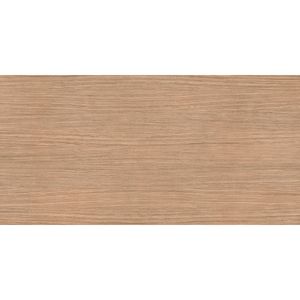 Porcelanato Magnum Nature Mood Plank 01 Mate 120x240x6 cm