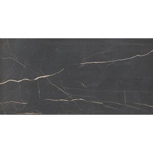 Porcelanato Nero Venato Negro Pulido 60x120 cm