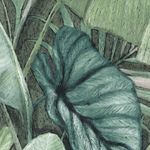 Pisos-y-Muros-Porcelanato-Floral-Eucalyptus-Mate-15x15-cm