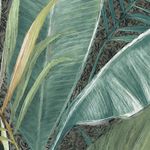 Pisos-y-Muros-Porcelanato-Floral-Eucalyptus-Mate-15x15-cm