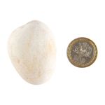 Pisos-y-Muros-Piedra-Riverstone-Beige-2-4-cm