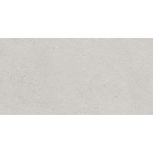 Porcelanato Terramix Gris Mate Inout 60x120 cm