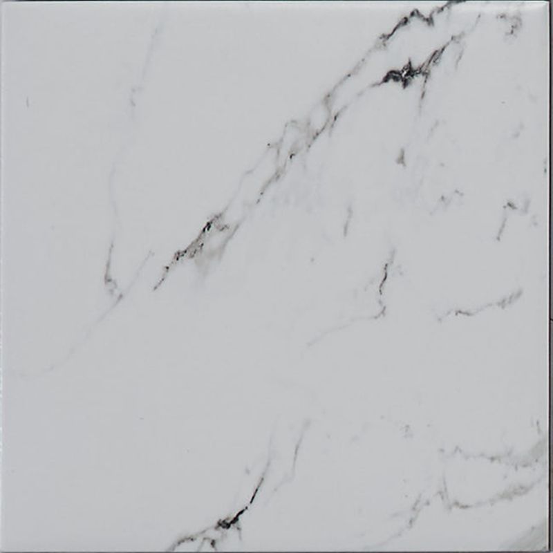 Pisos-y-Muros-Porcelanato-Calacatta-Classic-Blanco-Mate-25x25-cm