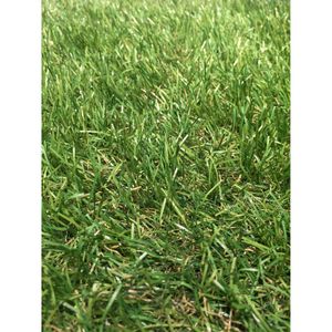Pasto Sintético en Rollo Grass Celery 25x2 m (30 mm)
