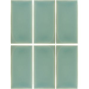 Cerámica Muro Fayenza Fern Brillante 6.2x12.5