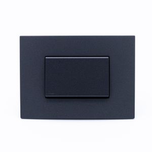 Placa Armada S44 Carbón Conmutador 9/24 Teclón 125x45 mm
