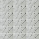 Pisos-y-Muros-Ceramica-Muro-Frost-Statuario-Blanco-Brillante-25x40-cm