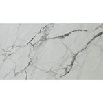 Pisos-y-Muros-Ceramica-Muro-Frost-Statuario-Blanco-Brillante-25x40-cm