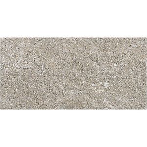 Porcelanato Stoneway Porfido Grey Mate 15x30 cm