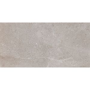 Porcelanato Erding Ash Mate 45x90 cm