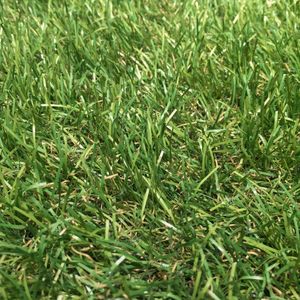 Pasto Sintético en Rollo Grass Celery 10x1 m (30 mm)
