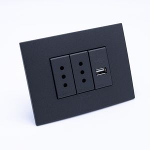 Placa Armada S44 Carbón Tomacorriente Doble 10A y Cargador USB 125x45 mm