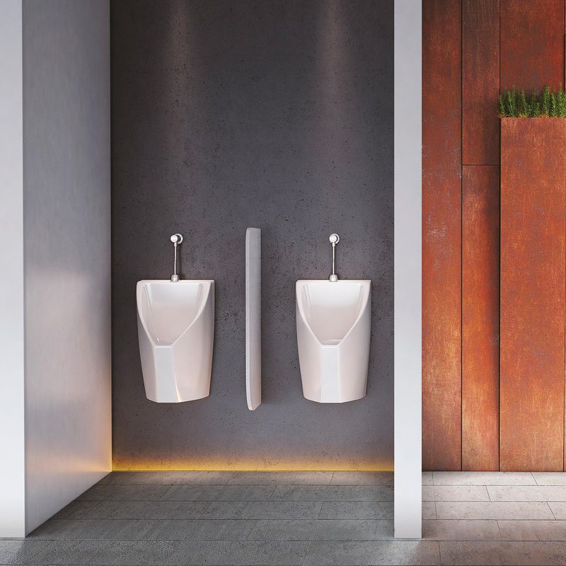 Baños-Fluxor-Urinario-Pressmatic-Compact-Ciclo-Fijo-Bacteria-Free-Cromado