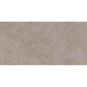 Gres Porcelánico Mia Gris Mate 30x60 cm