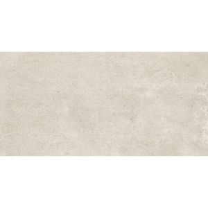 Porcelanato Berlin Light Grey Mate 60x120 cm