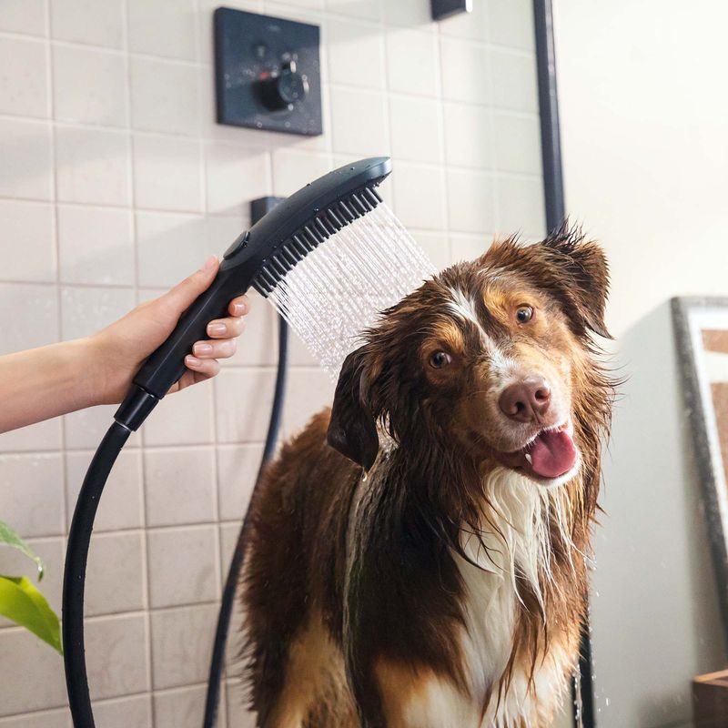 Baños-Ducha-de-Mano-para-Mascotas-Dogshower-3-Jet-Negro-Mate