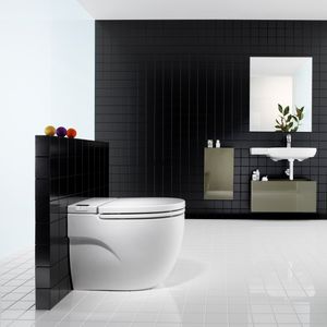 WC Meridian In-Tank Dual a Piso con Asiento y Fijaciones Blanco
