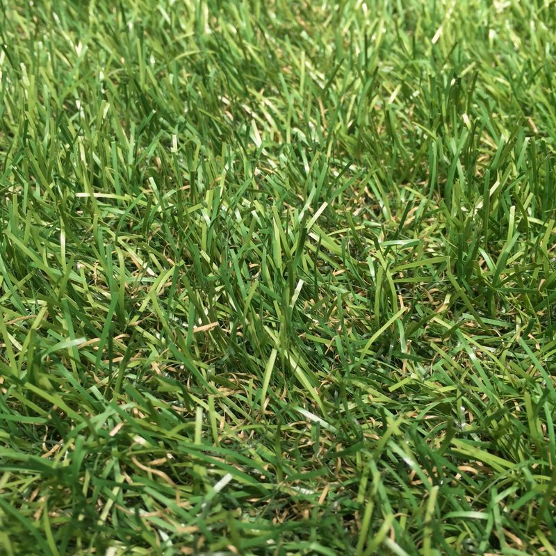 Pisos-y-Muros-Pasto-Sintetico-en-Rollo-Grass-Celery-10x1-m--30-mm-