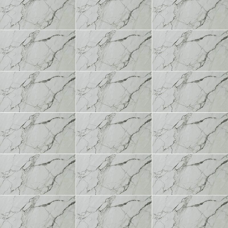Pisos-y-Muros-Ceramica-Muro-Frost-Statuario-Blanco-Brillante-25x40-cm