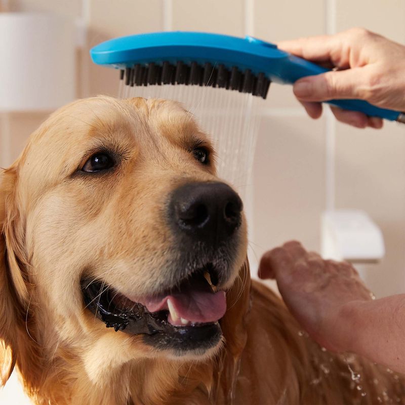 Baños-Ducha-de-Mano-para-Mascotas-Dogshower-3-Jet-Azul