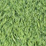 Pisos-y-Muros-Pasto-Sintetico-en-Rollo-Grass-Lime-10x1-m
