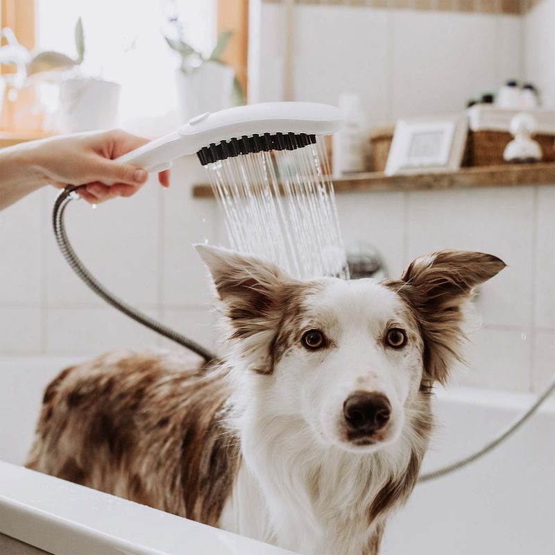 Baños-Ducha-de-Mano-para-Mascotas-Dogshower-3-Jet-Blanco-Mate