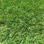 Pisos-y-Muros-Pasto-Sintetico-en-Rollo-Grass-Bamboo-10x1-m--30-mm-