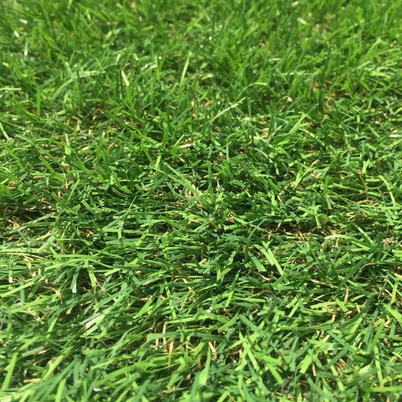 Pisos-y-Muros-Pasto-Sintetico-en-Rollo-Grass-Bamboo-10x1-m--30-mm-