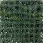 Pisos-y-Muros-Pasto-Mural-Bora-100x100-cm