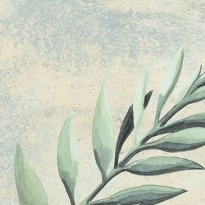 Porcelanato Botanic Jade Mate Antideslizante 25x25 cm