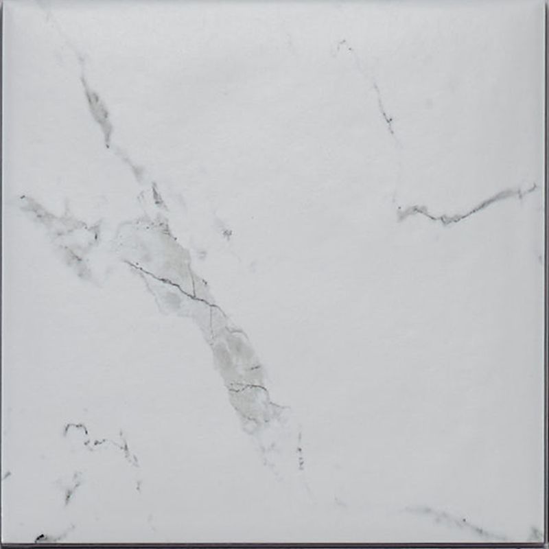 Pisos-y-Muros-Porcelanato-Calacatta-Classic-Blanco-Mate-25x25-cm
