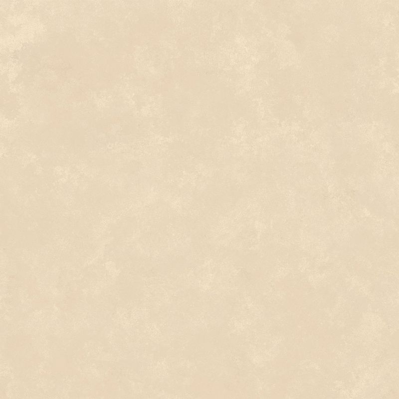 Pisos-y-Muros-Ceramica-Stage-Abalon-Beige-Mate-60x60-cm