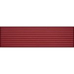 Pisos-y-Muros-Ceramica-Muro-Vivant-Linea-Roja-Mate-7x24-cm