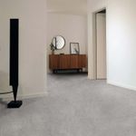 Pisos-y-Muros-Gres-Porcelanico-Orbit-Grey-Mate-60x60-cm