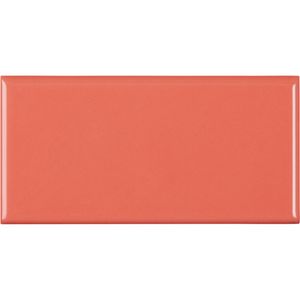 Cerámica Muro Paris Nemo Brillante 10x20 cm