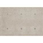 Pisos-y-Muros-Porcelanato-Dot-Deco-Gris-Chiaro-Mate-Antideslizante-60x120-cm