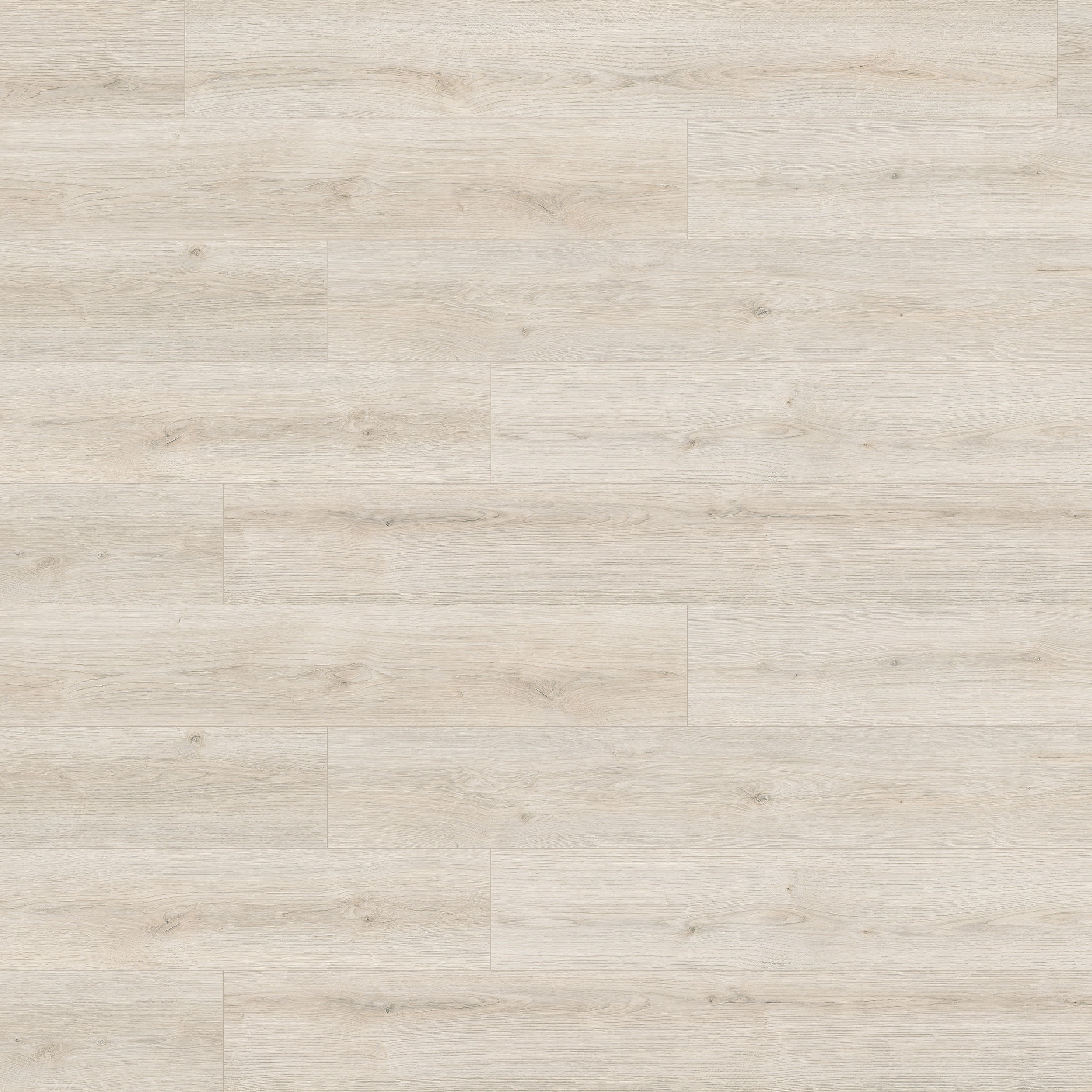 GMDNS105 ○ SILIK / シリック lo stile di clas KND-19-0066_1.jpg?v=