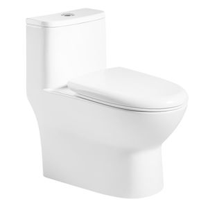 WC One Piece Indic Descarga a Piso 300 mm