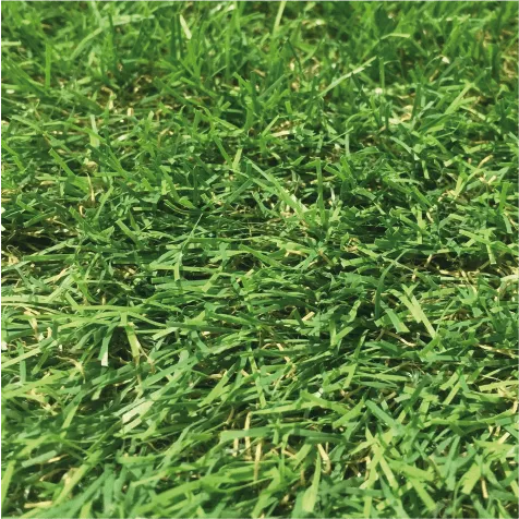 Pasto Sintético