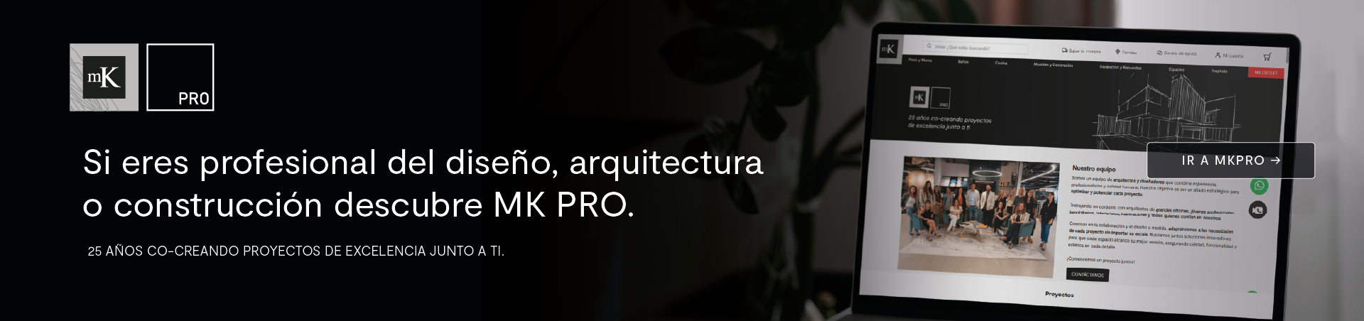 mk_profesionales